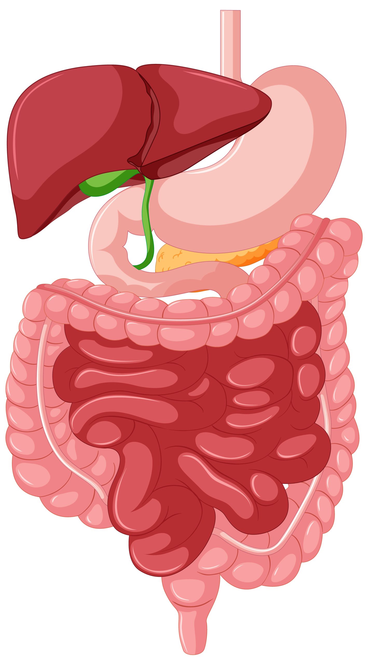 Gastroenterology & Hepatology