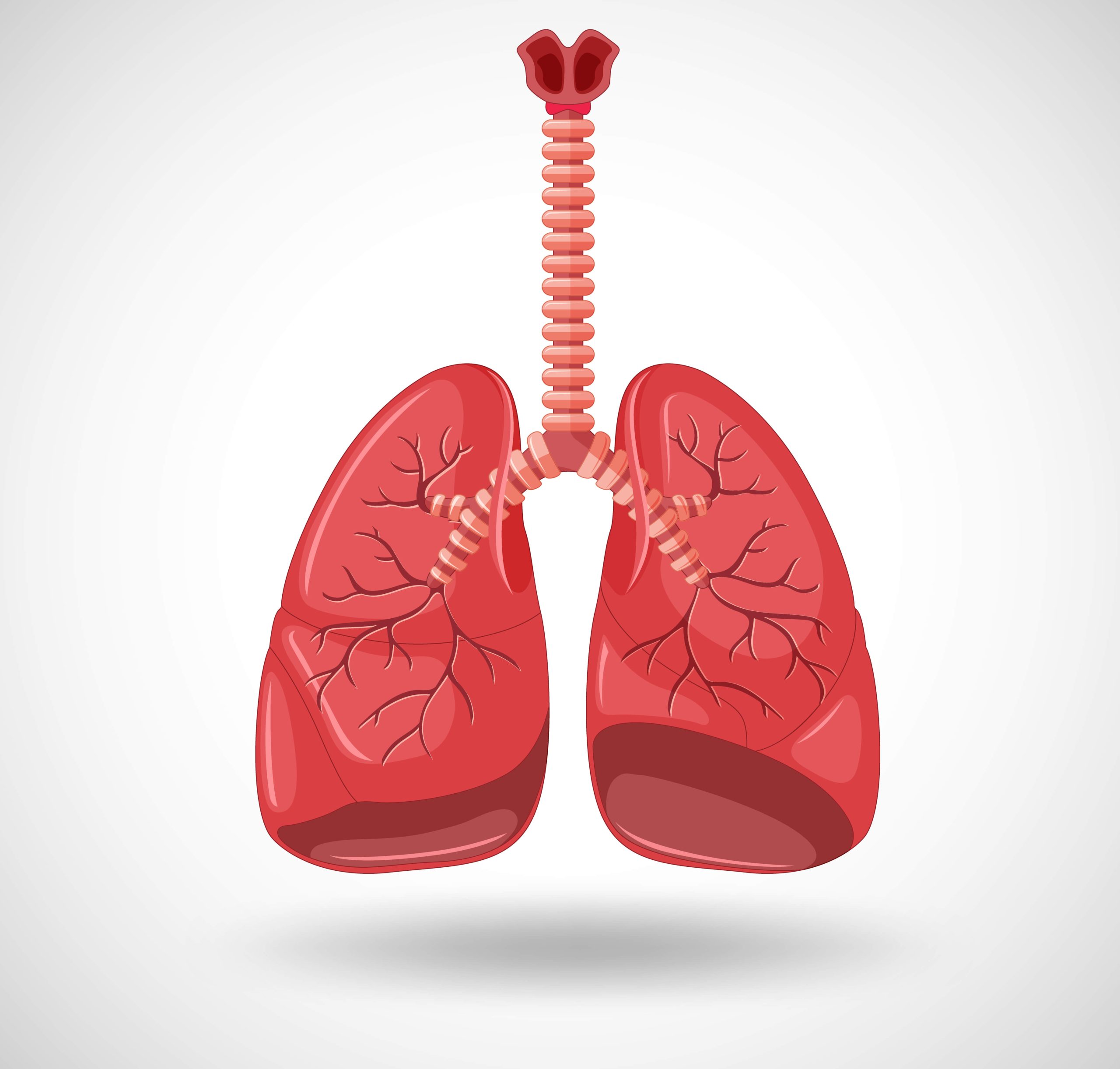 Read more about the article Pulmonology